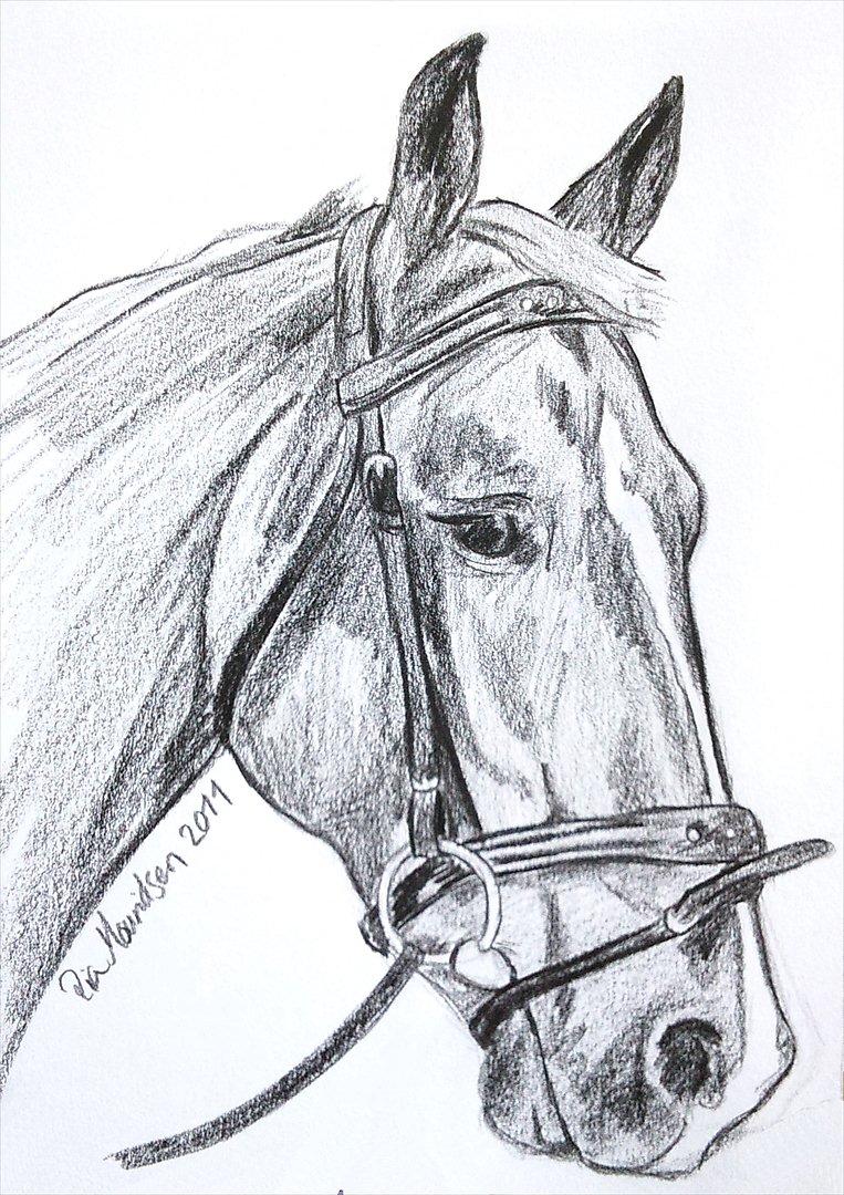 Nye sort/hvid tegninger - Tegning af Kosmo - fik ideen kort før min svigerindes fødselsdag, så fik lidt travlt. billede 2