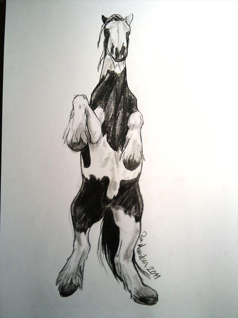 Nye sort/hvid tegninger - Miza *Yin&Yang*'s smukke hoppe Willow of Titans. billede 1