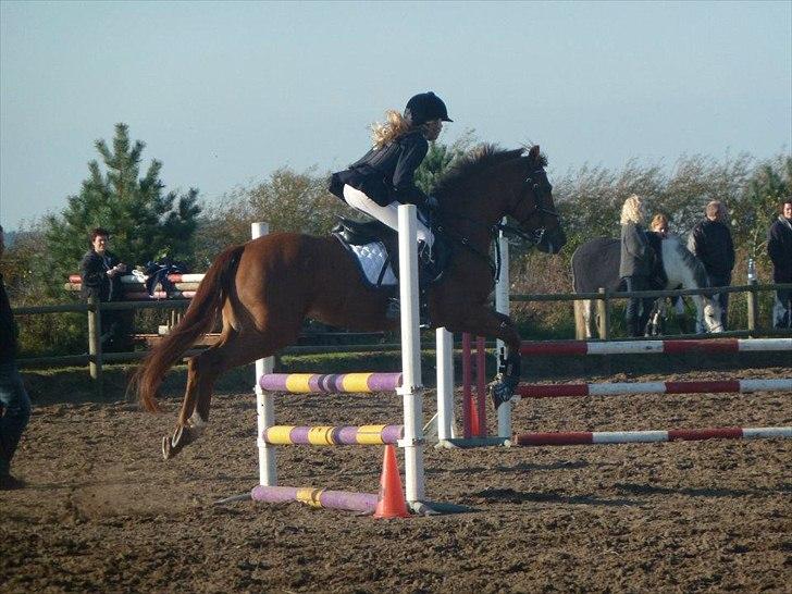 Stævne på snorregården i langholt billede 1