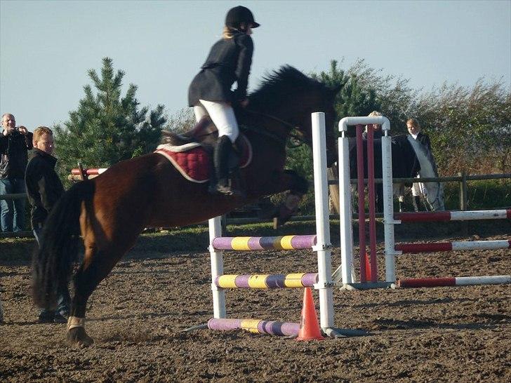 Stævne på snorregården i langholt billede 2
