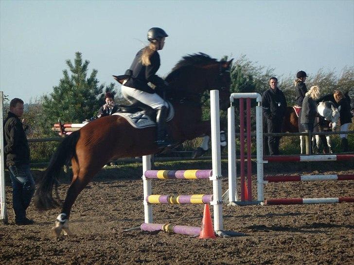 Stævne på snorregården i langholt billede 3