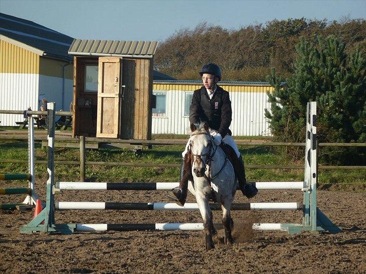 Stævne på snorregården i langholt billede 4