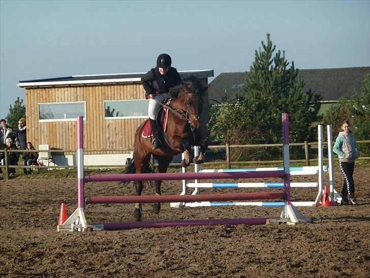 Stævne på snorregården i langholt billede 6