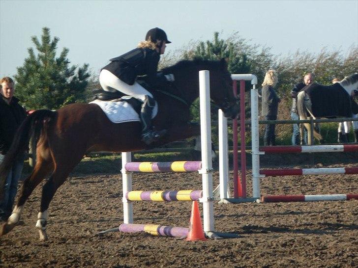 Stævne på snorregården i langholt billede 7