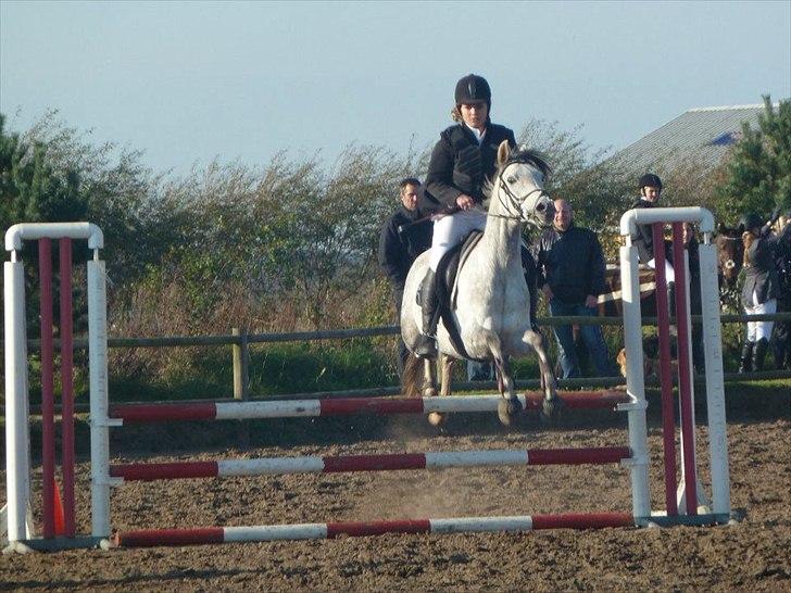 Stævne på snorregården i langholt billede 8