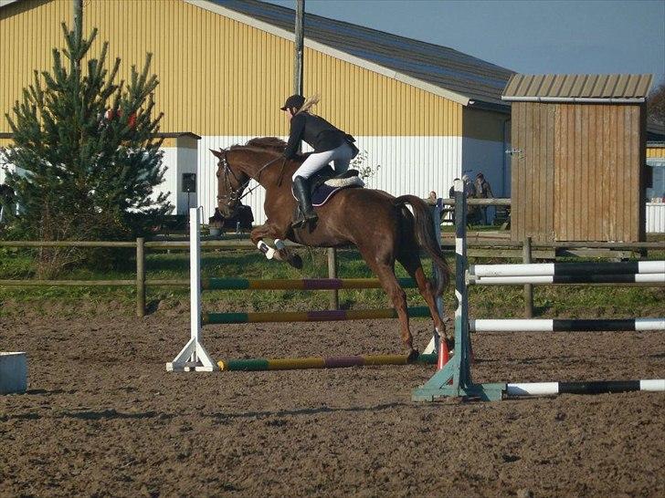 Stævne på snorregården i langholt billede 9