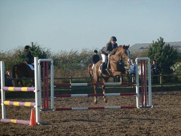 Stævne på snorregården i langholt billede 10