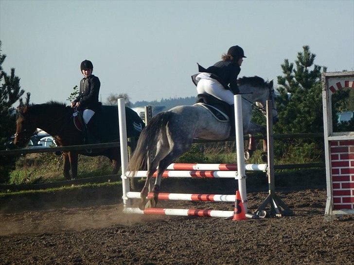 Stævne på snorregården i langholt billede 11