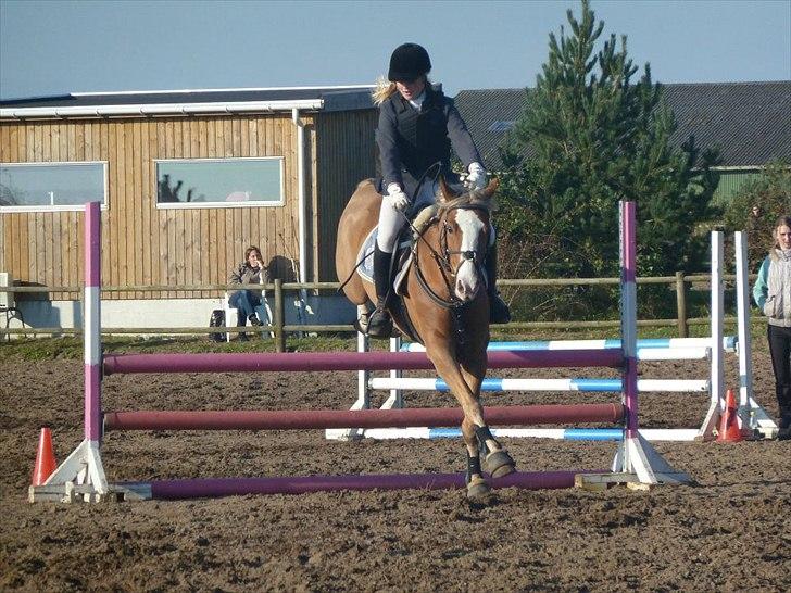 Stævne på snorregården i langholt billede 12