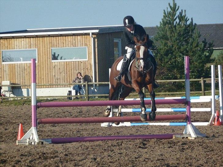 Stævne på snorregården i langholt billede 13
