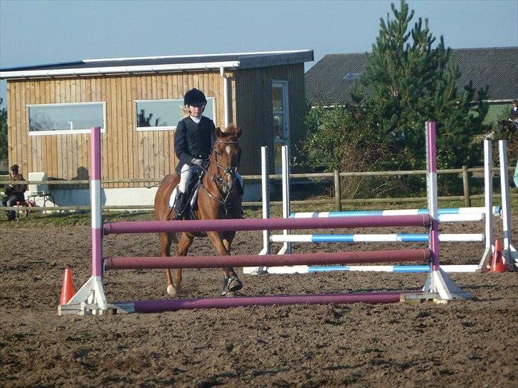 Stævne på snorregården i langholt billede 14