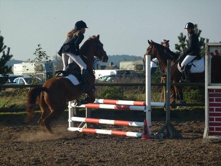 Stævne på snorregården i langholt billede 15
