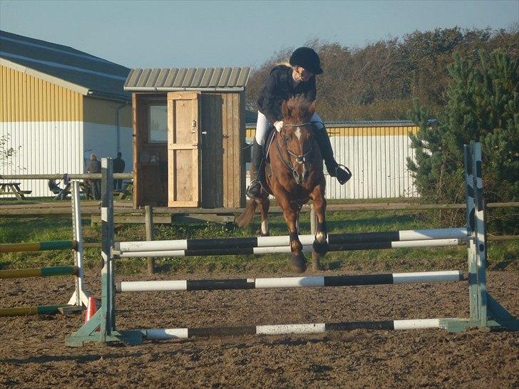 Stævne på snorregården i langholt billede 16