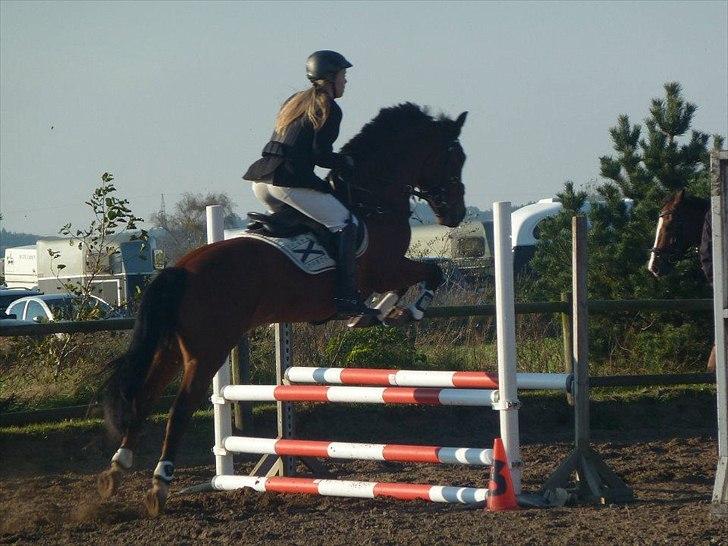 Stævne på snorregården i langholt billede 17