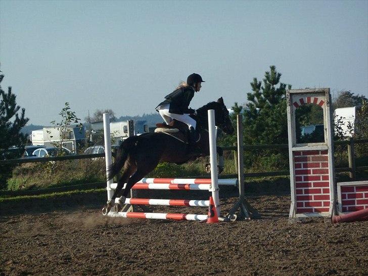 Stævne på snorregården i langholt billede 19