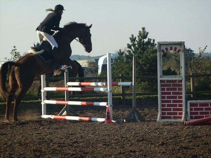 Stævne på snorregården i langholt billede 20