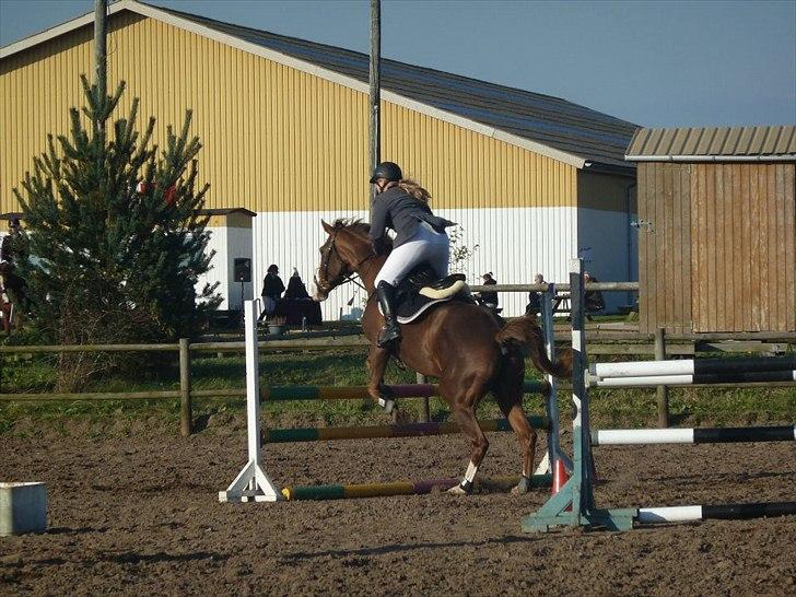 Stævne på snorregården i langholt billede 21