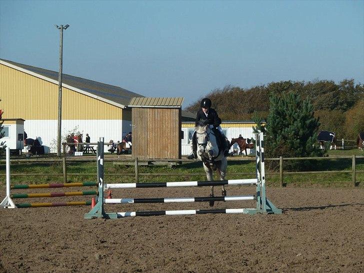 Stævne på snorregården i langholt billede 22