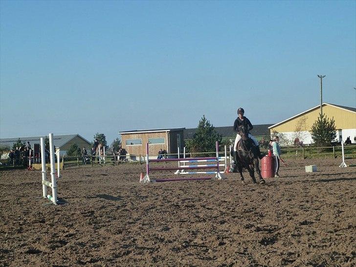 Stævne på snorregården i langholt billede 23