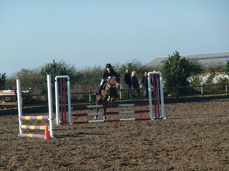 Stævne på snorregården i langholt billede 24