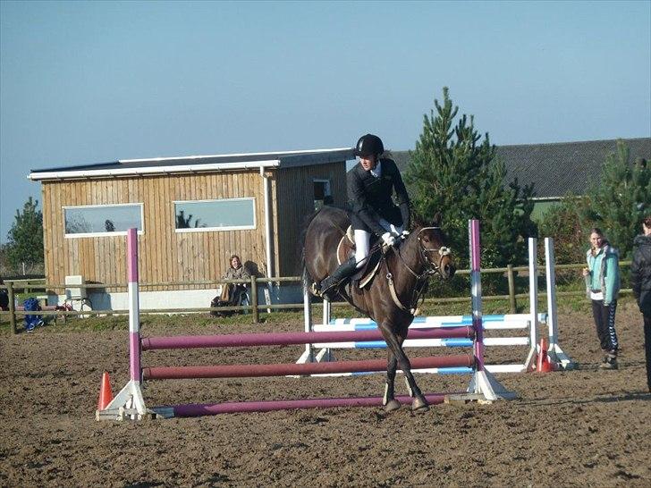 Stævne på snorregården i langholt billede 26