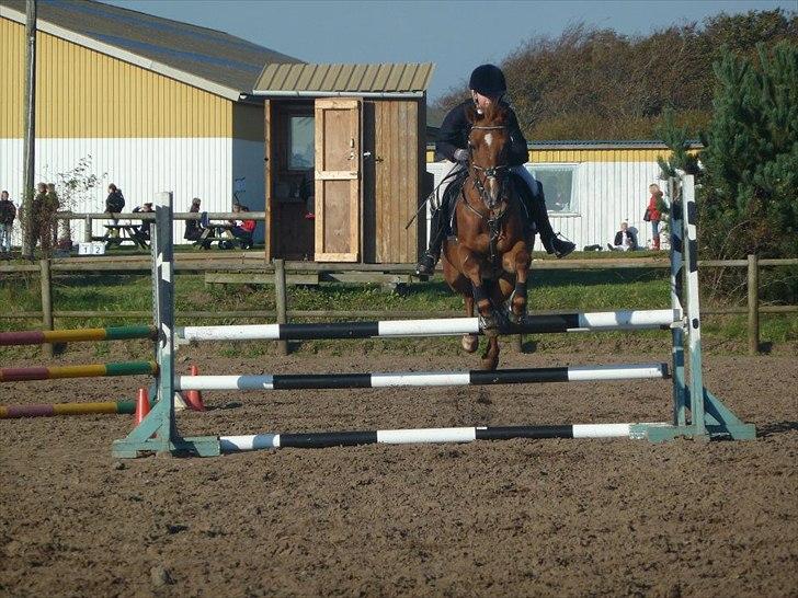 Stævne på snorregården i langholt billede 27