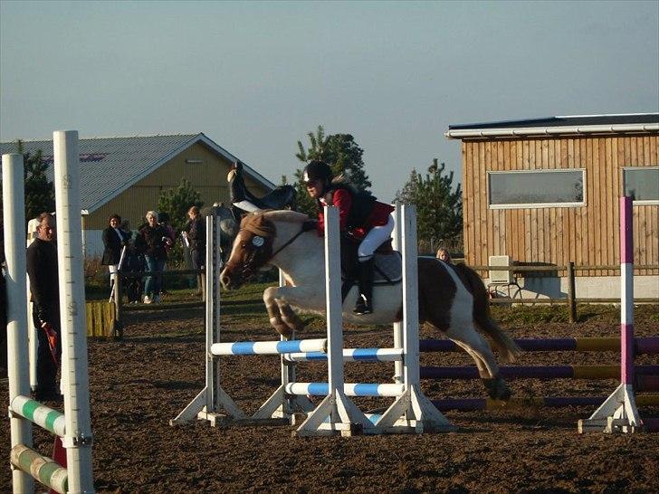 Stævne på snorregården i langholt billede 29