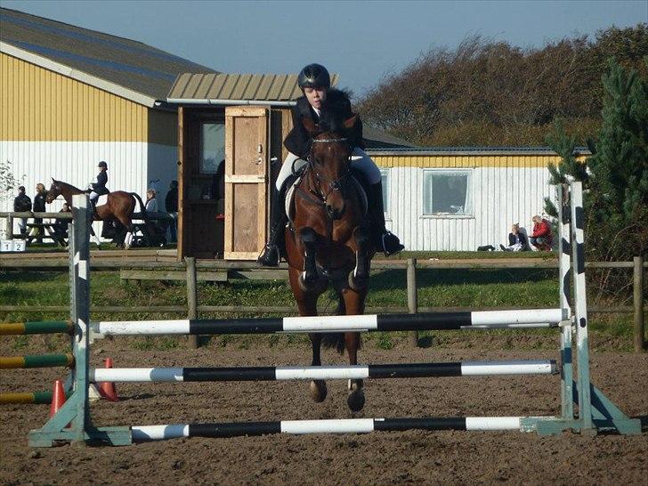 Stævne på snorregården i langholt billede 30