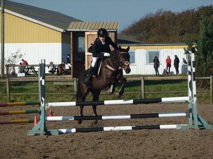 Stævne på snorregården i langholt billede 31