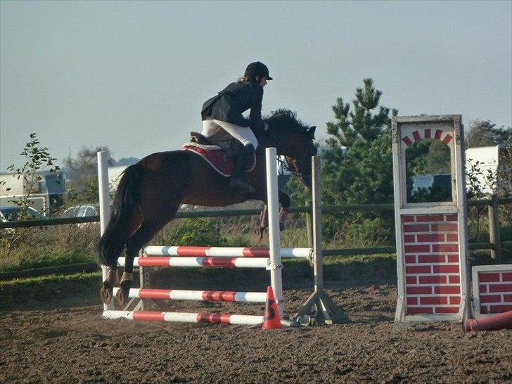 Stævne på snorregården i langholt billede 32