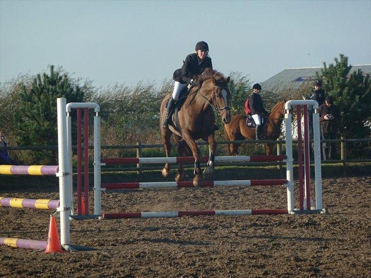 Stævne på snorregården i langholt billede 33