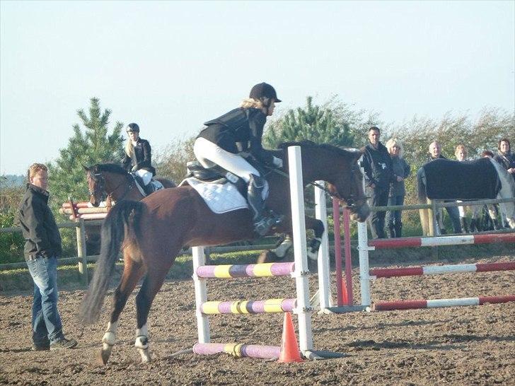 Stævne på snorregården i langholt billede 34
