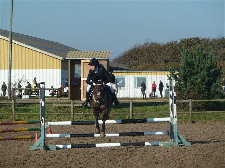 Stævne på snorregården i langholt billede 35