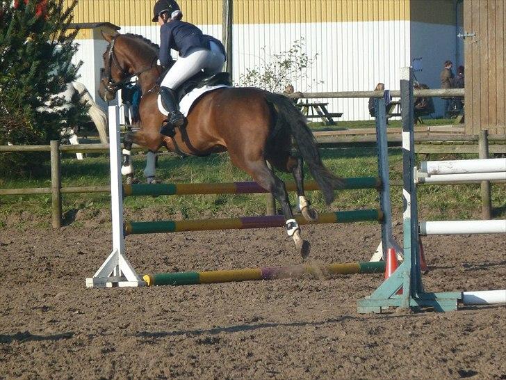 Stævne på snorregården i langholt billede 36