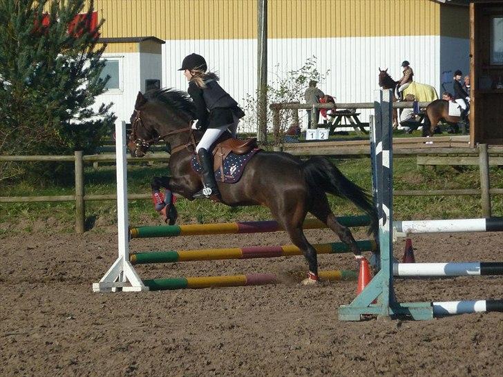 Stævne på snorregården i langholt billede 38