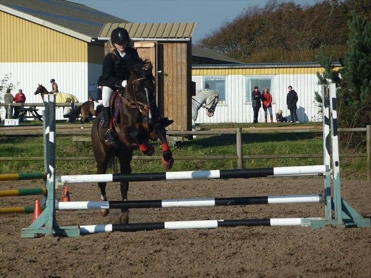 Stævne på snorregården i langholt billede 39