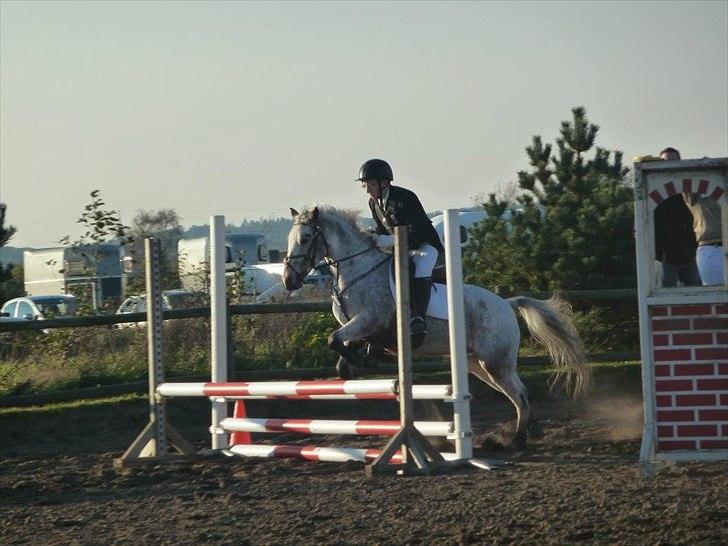 Stævne på snorregården i langholt billede 41