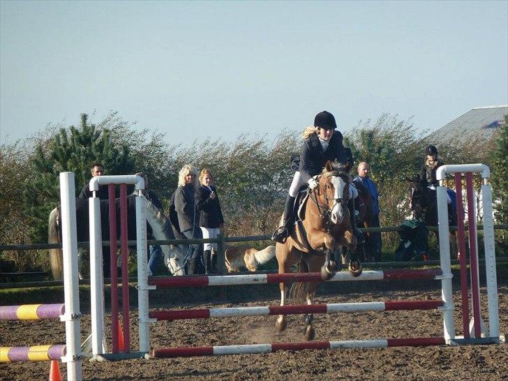 Stævne på snorregården i langholt billede 43
