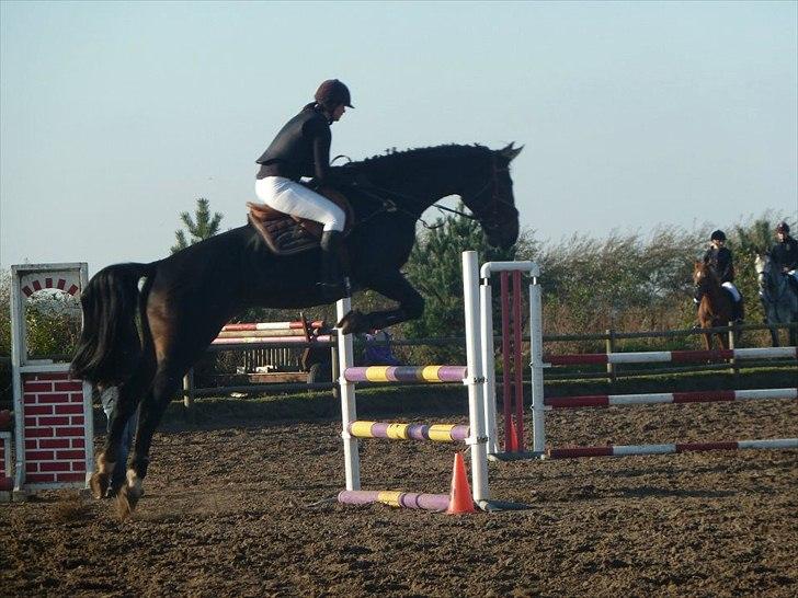 Stævne på snorregården i langholt billede 44