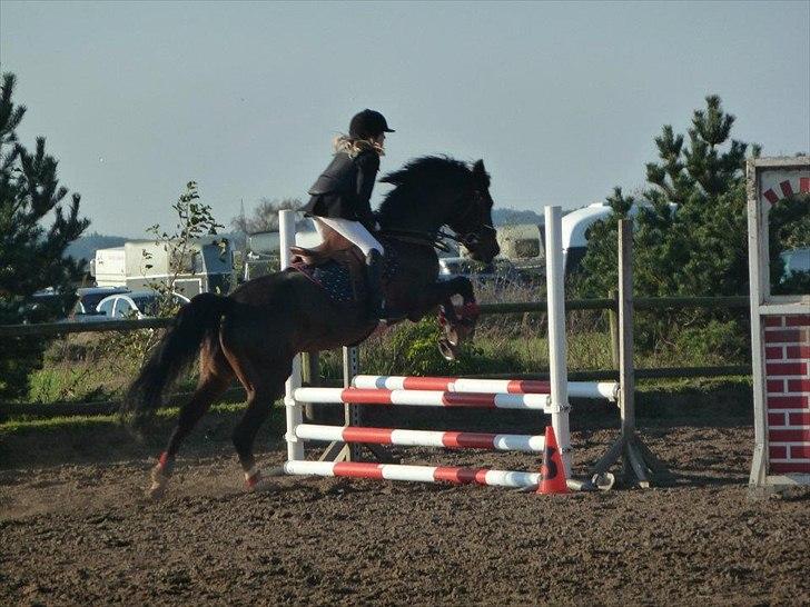 Stævne på snorregården i langholt billede 46