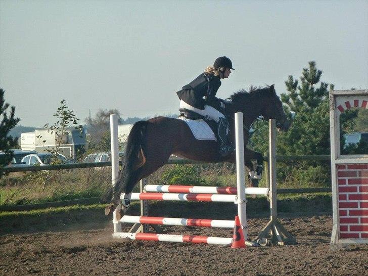 Stævne på snorregården i langholt billede 47