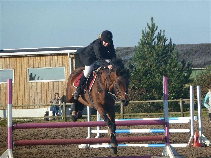 Stævne på snorregården i langholt billede 48