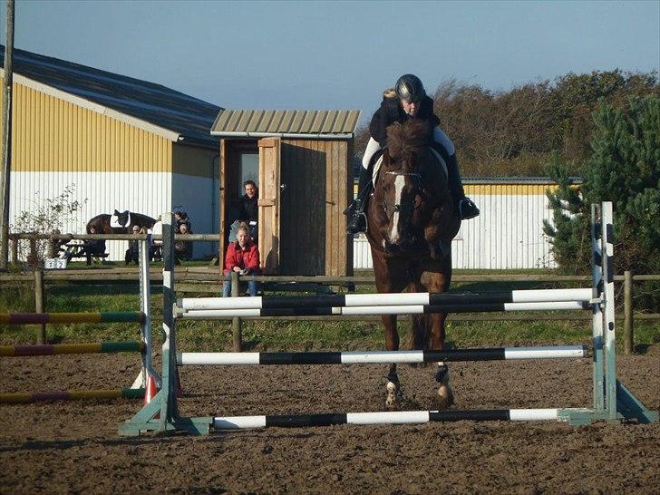 Stævne på snorregården i langholt billede 49