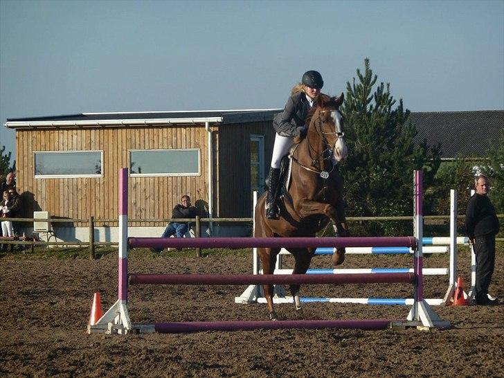 Stævne på snorregården i langholt billede 50