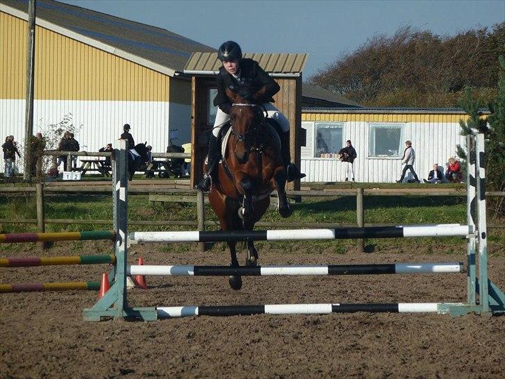 Stævne på snorregården i langholt billede 51
