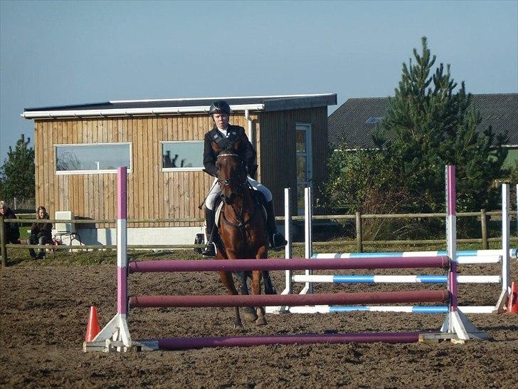 Stævne på snorregården i langholt billede 52