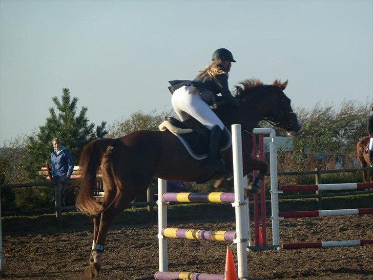 Stævne på snorregården i langholt billede 55