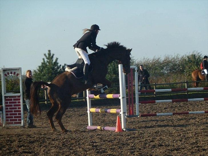 Stævne på snorregården i langholt billede 57