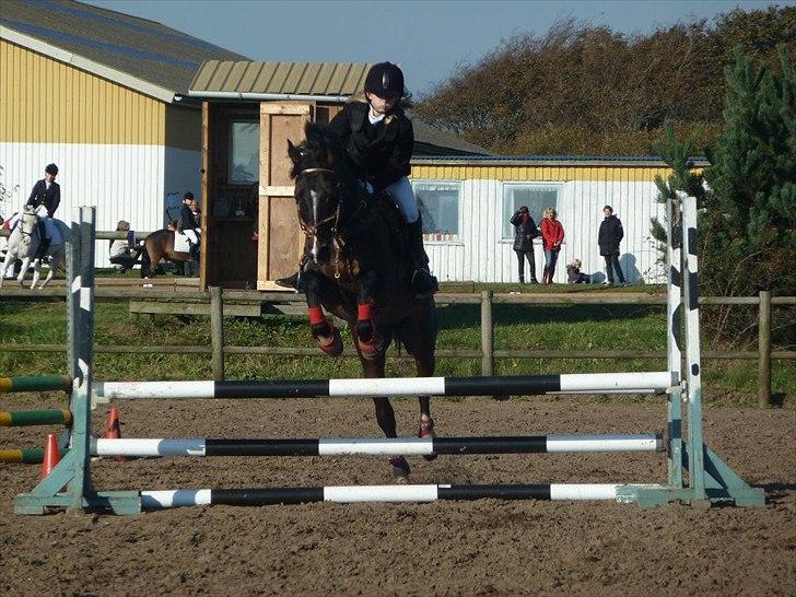 Stævne på snorregården i langholt billede 59