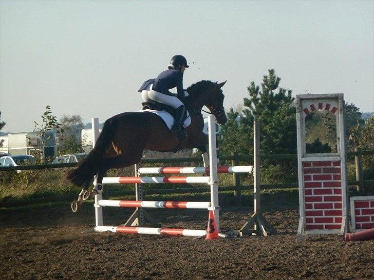 Stævne på snorregården i langholt billede 60